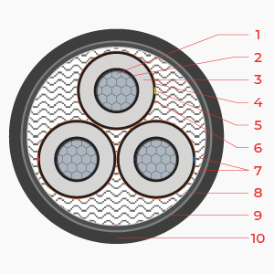 Cấu trúc MV - 6/10(12)kV - AXV/DSTA 3C x