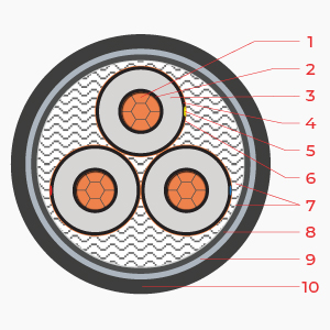 Cấu trúc MV - 6/10(12)KV - CXV/DATA 3C x