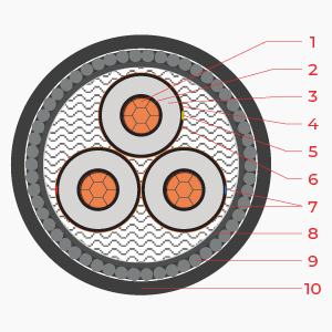 Cấu trúc MV - 6/10(12)KV - CXV/SWA 3C x