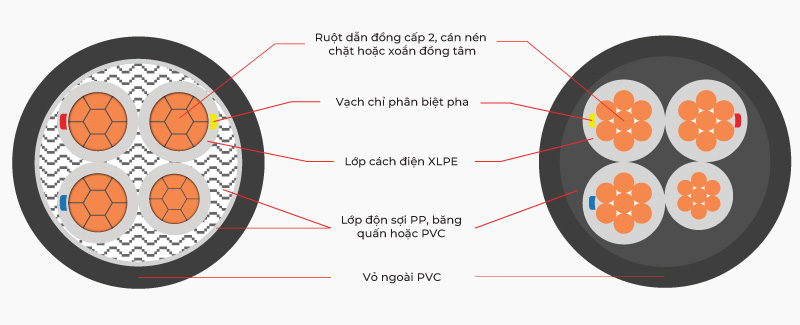 Mặt cắt CXV 3+1 0.6/1kV