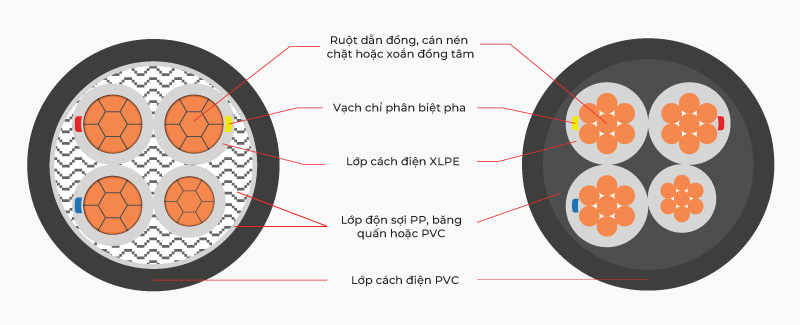 mặt cắt dây cáp CXV hạ thế 3 lõi + 1 lõi trung tính