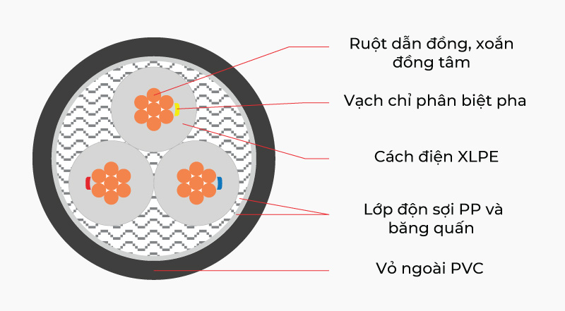 mặt cắt dây cáp CXV trung thế 3 lõi