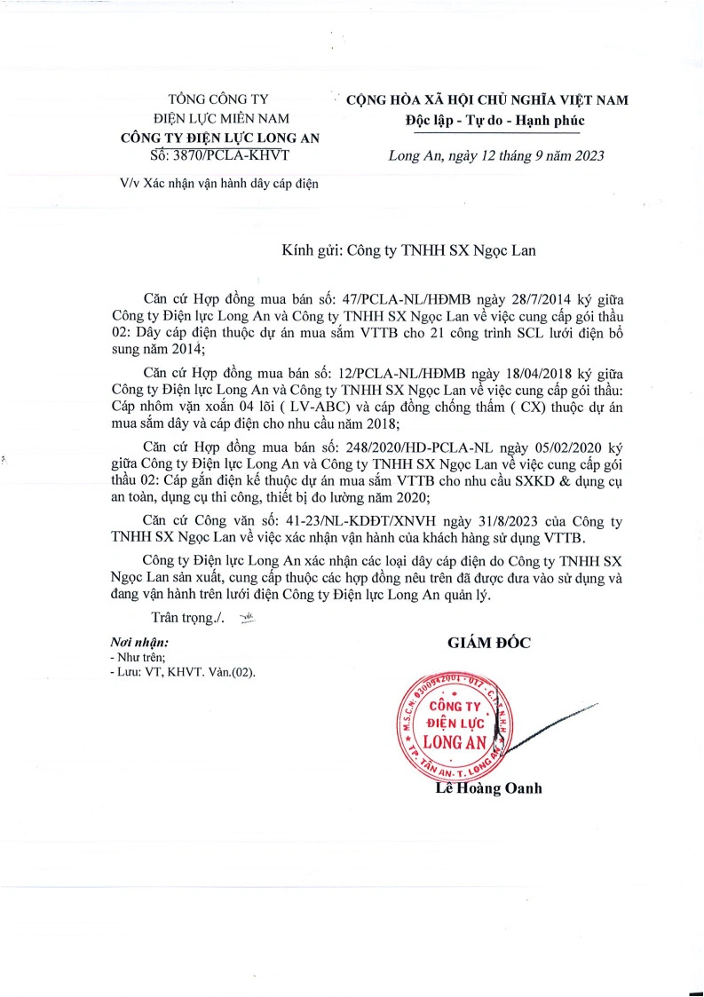 Certificate of successful grid connection operation issued by Long An Power Company