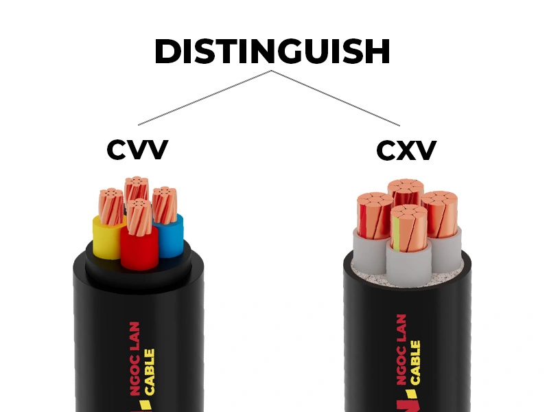 Distinguish CXV And CVV