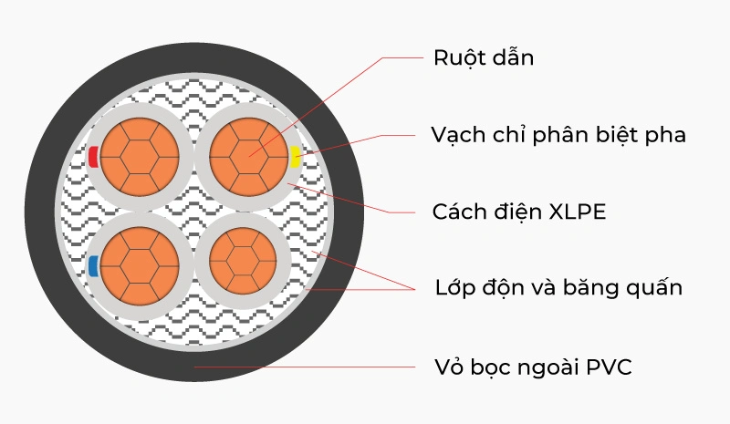 Mặt cắt dây CXV 4 lõi, ruột đồng, cách điện XLPE, vỏ bọc PVC, cán nén