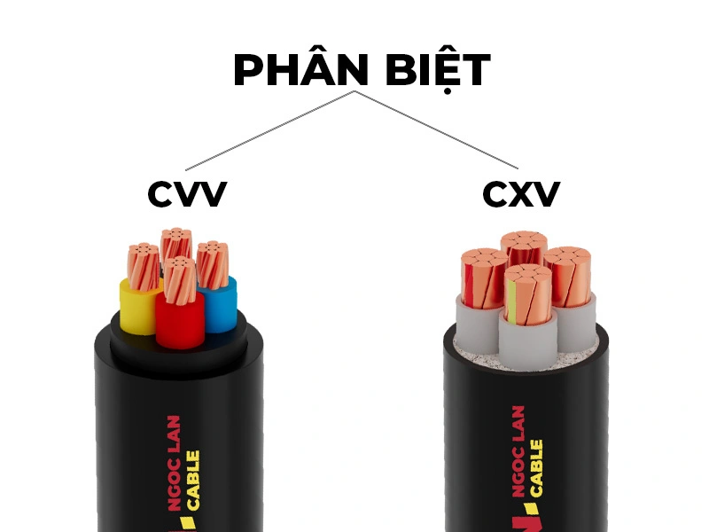 phân biệt cáp CVV và cáp CXV