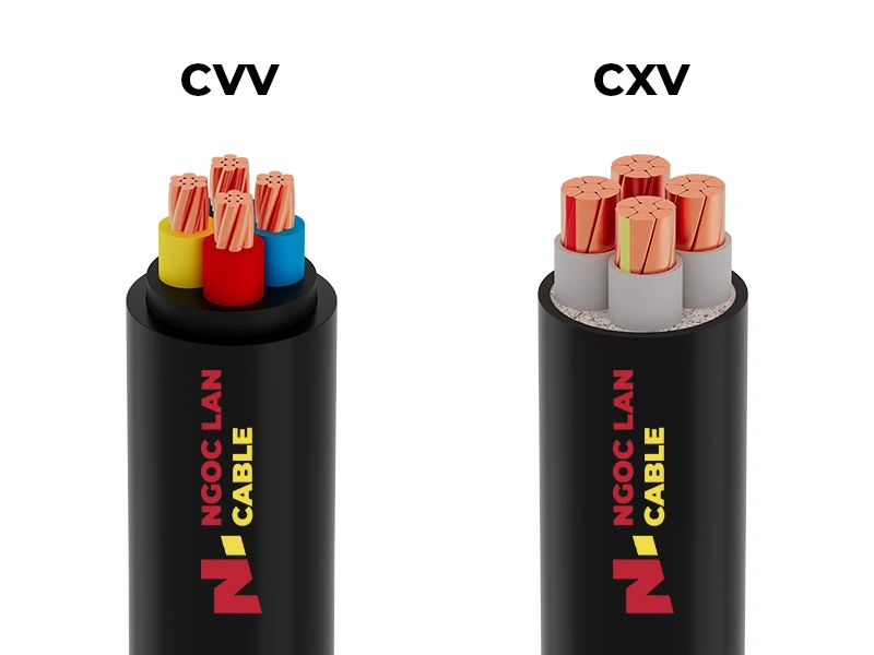 Phân biệt CVV và CXV