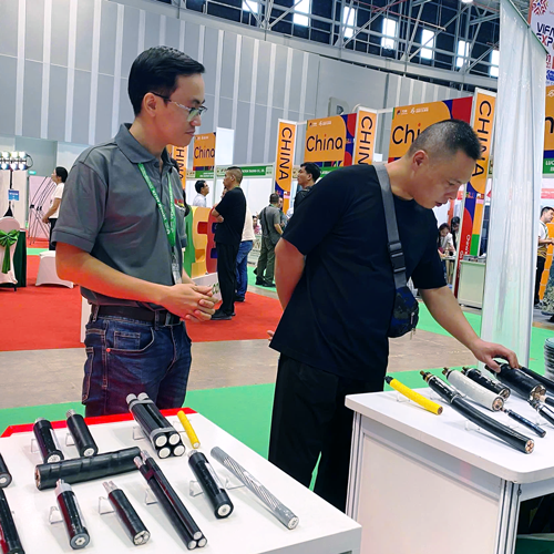 A Customer Viewing Ngoc Lan Cable Products With A Staff Member Standing Beside Them